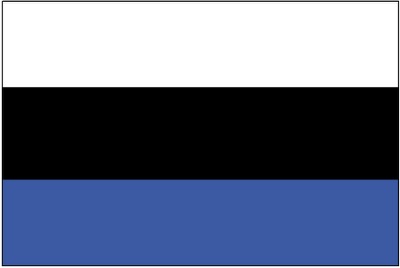 astonian_flag.jpg