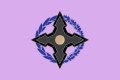 soto_flag.png