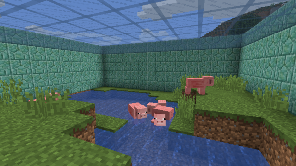 Pigs